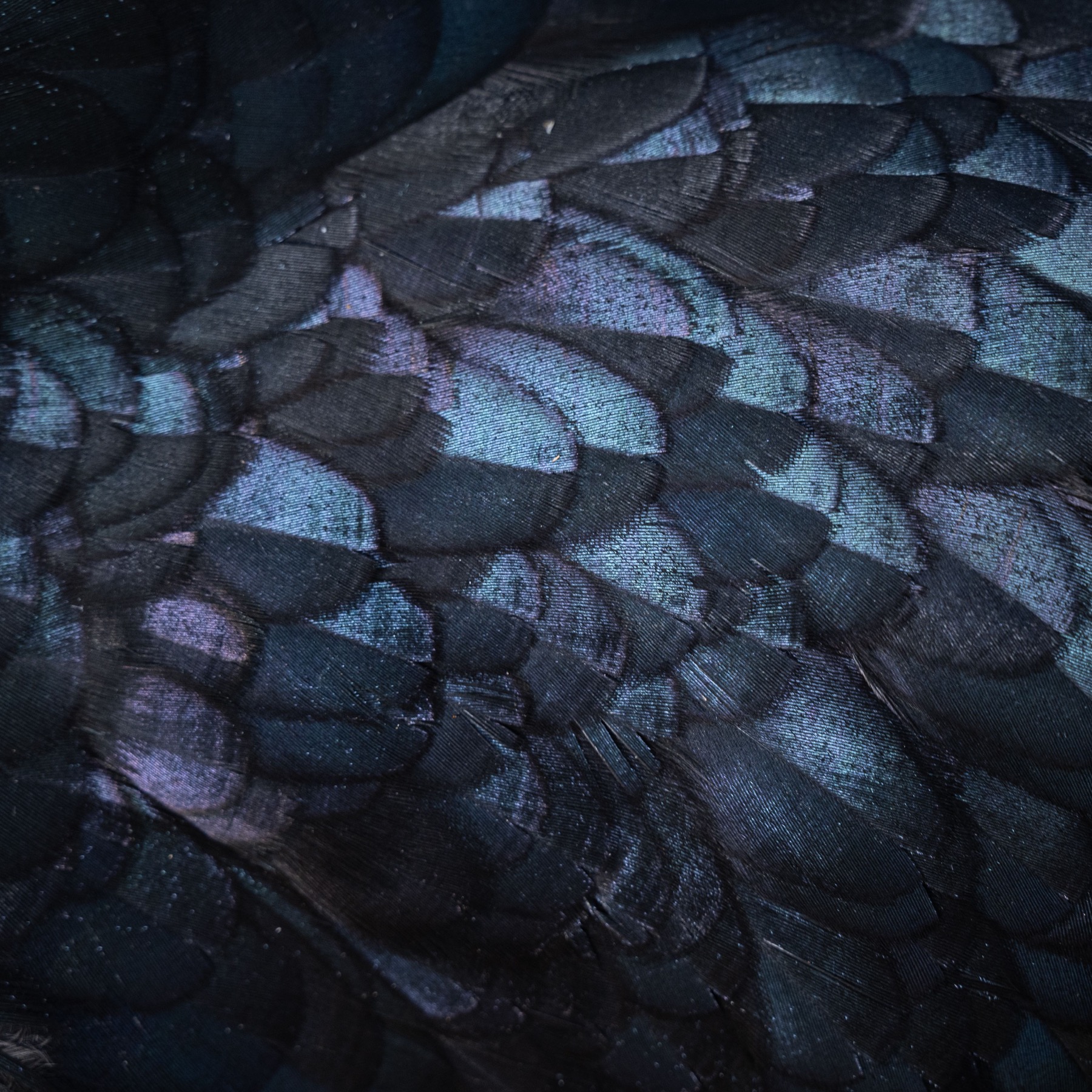 A close study of mineral colour and honest texture
